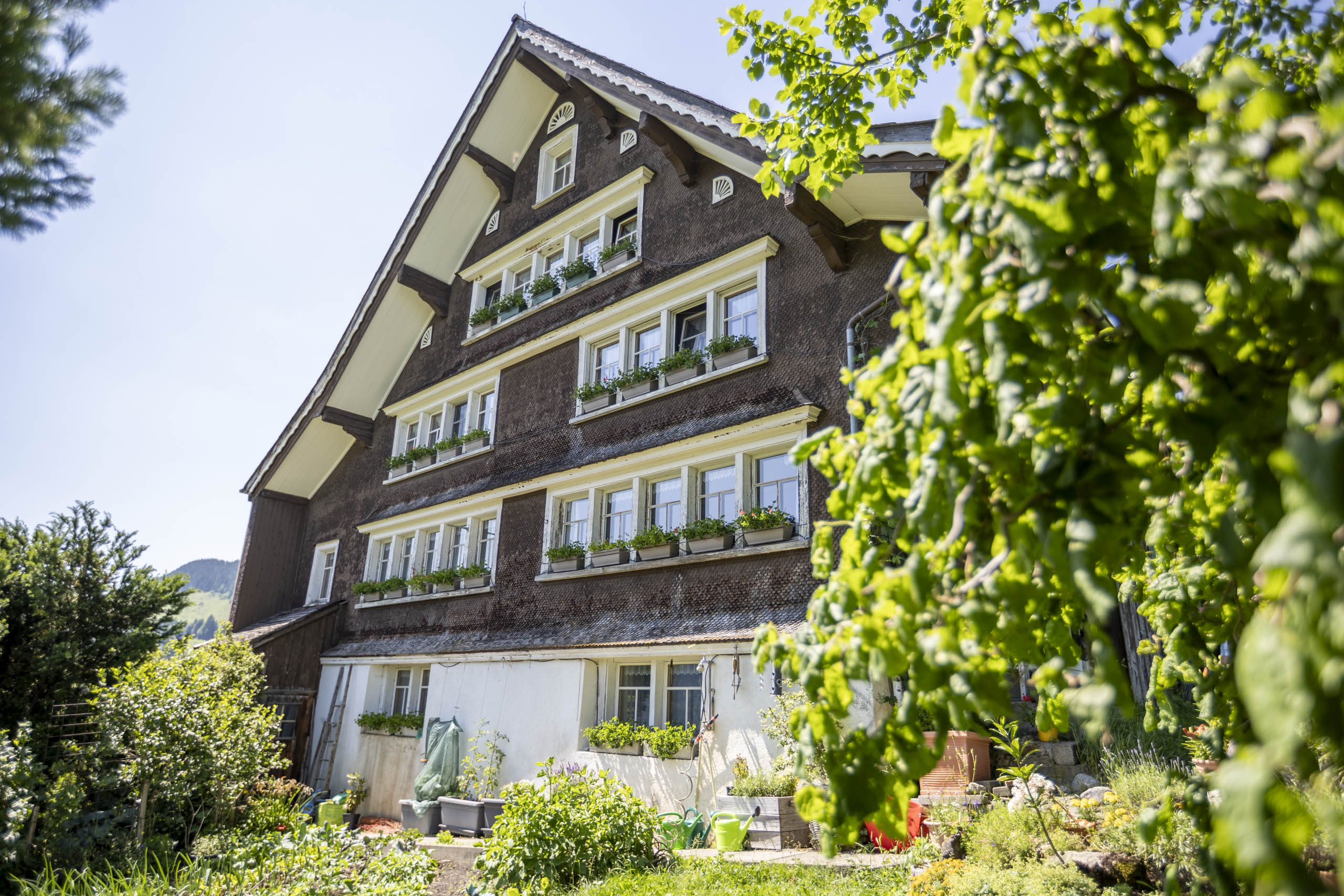 Haldenhof Schwizer
